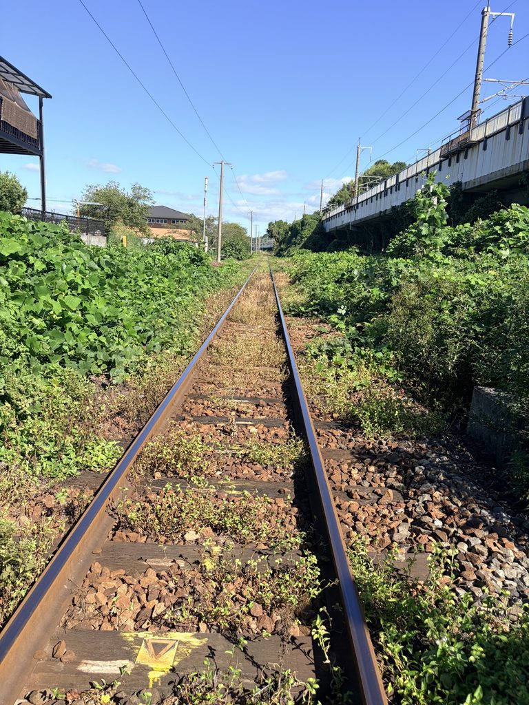 岩徳線線路