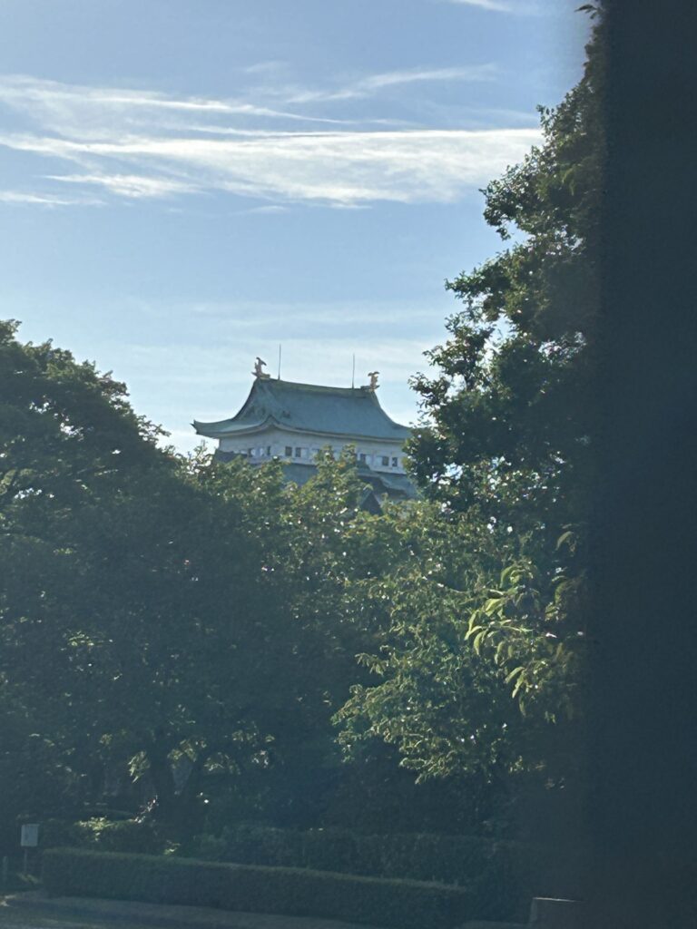 木々の間から見える名古屋城