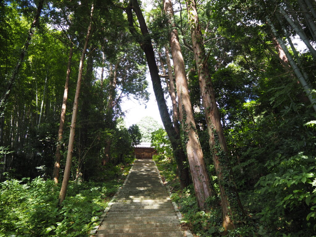 木々に囲まれた松尾八幡宮の石段