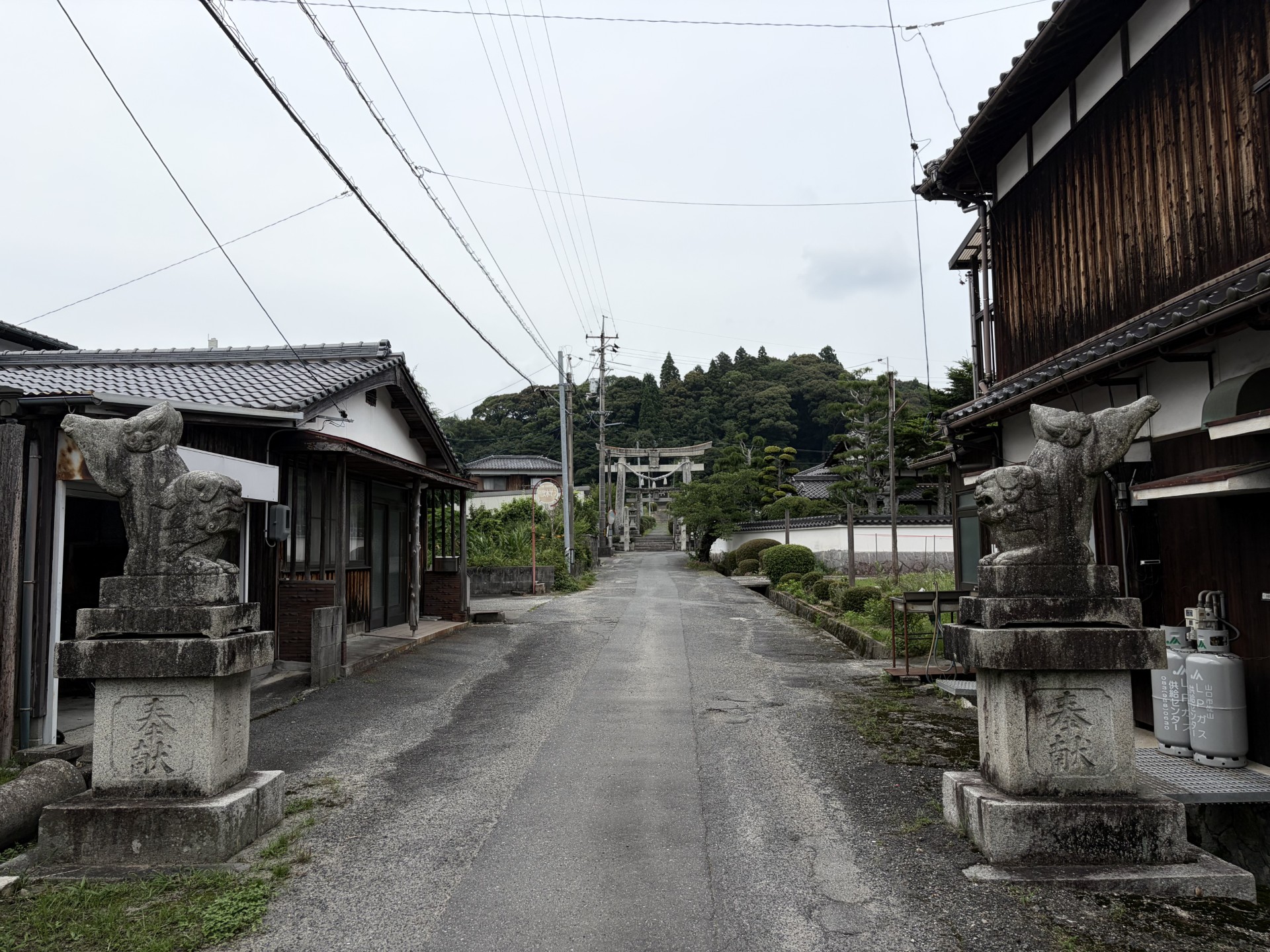 狛犬が並ぶ日本の町並みと、道の先に見える神社の鳥居