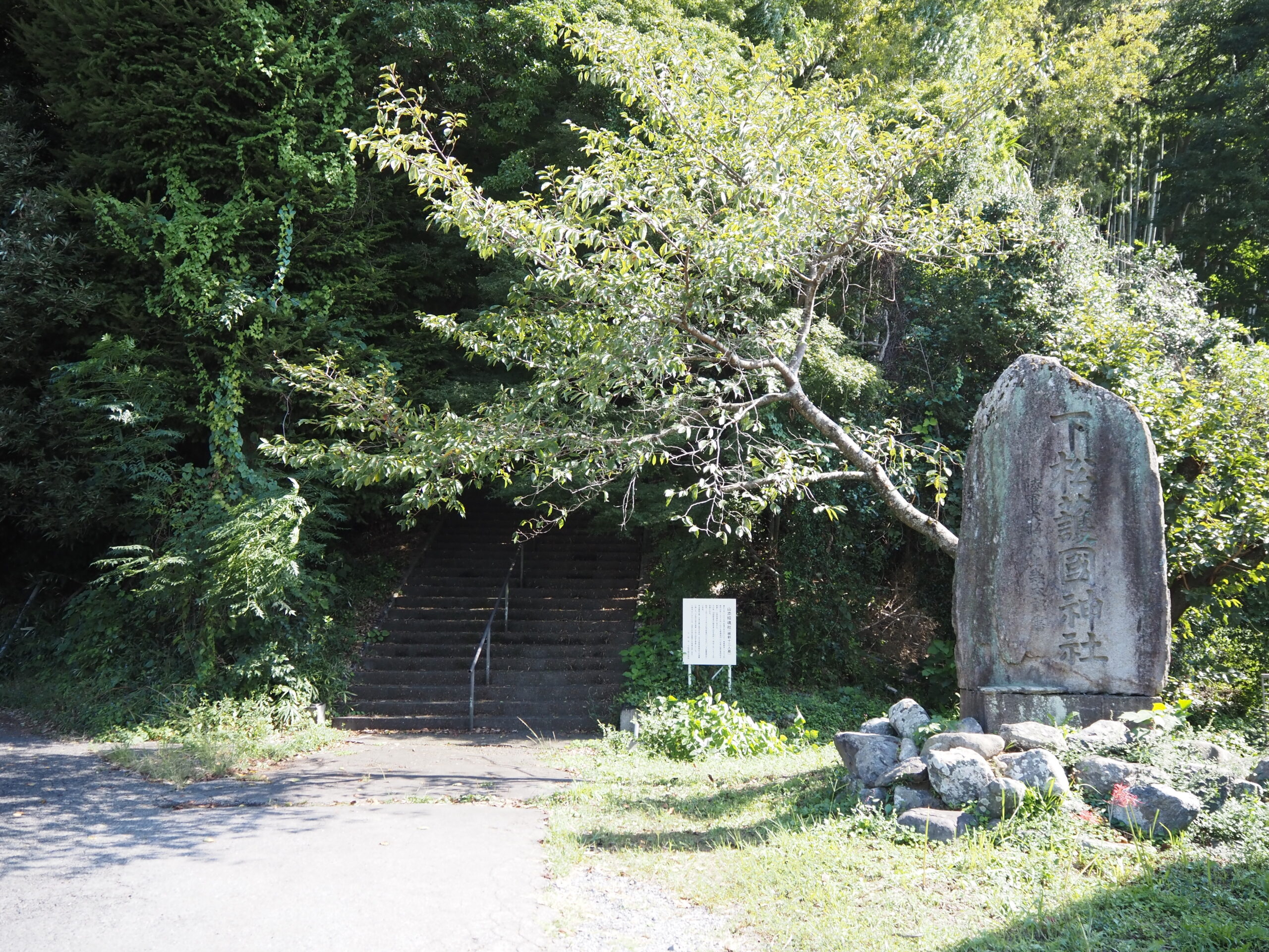 下松護国神社を歩く｜A Walk Through Kudamatsu Gokoku Shrine
