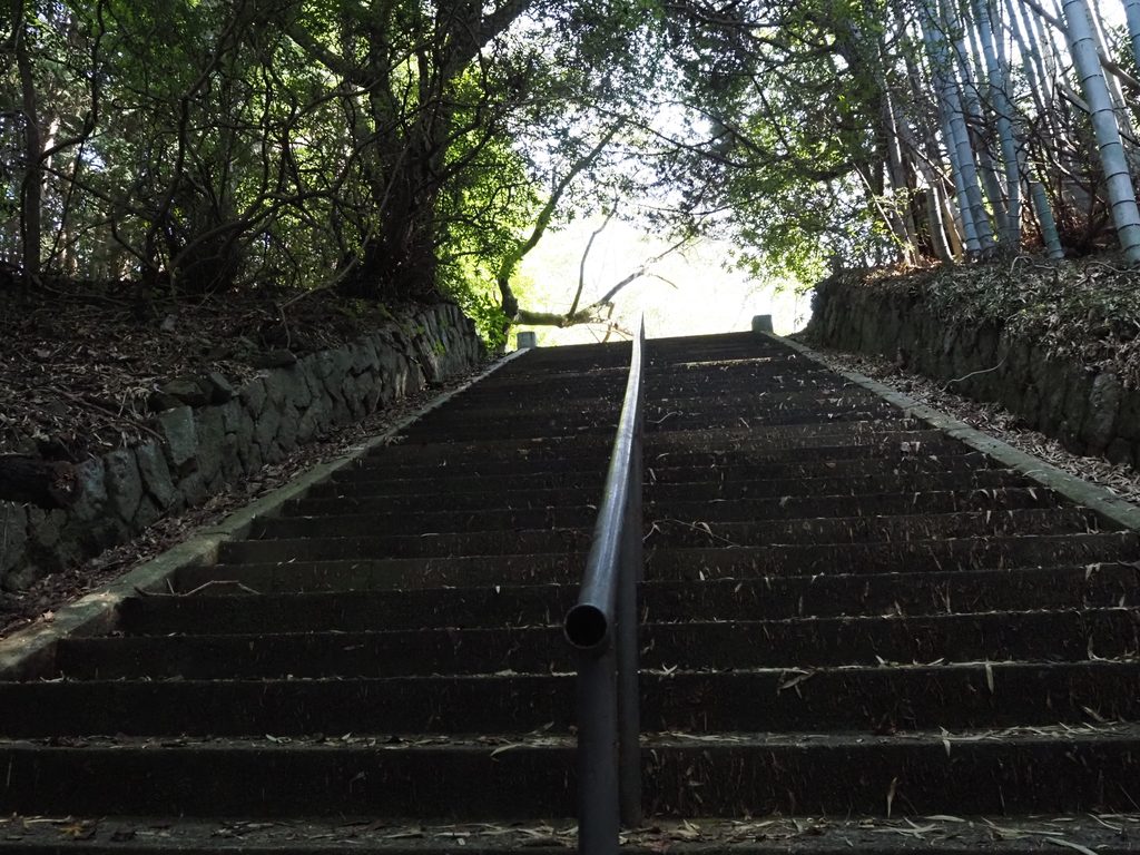 竹林の中を続く下松護國神社の石段